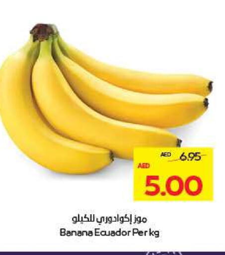 Banana from Ecuador available at ADCOOP in UAE - Al Ain