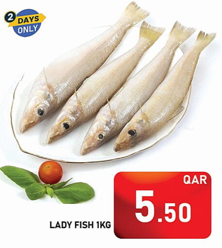 الأسماك الطازجة in باشن هايبر ماركت, قطر Offers - قطر available at باشن هايبر ماركت in قطر - الشمال