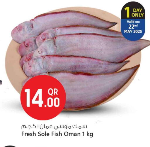 الأسماك الطازجة in سفاري هايبر ماركت, قطر Offers - قطر available at سفاري هايبر ماركت in قطر - الريان
