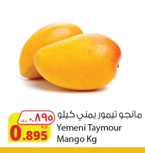 Mango Mangoes from Yemen available at Agricultural Food Products Co. in Kuwait - Kuwait City