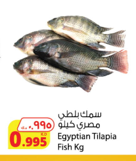 available at Agricultural Food Products Co. in Kuwait - Ahmadi Governorate