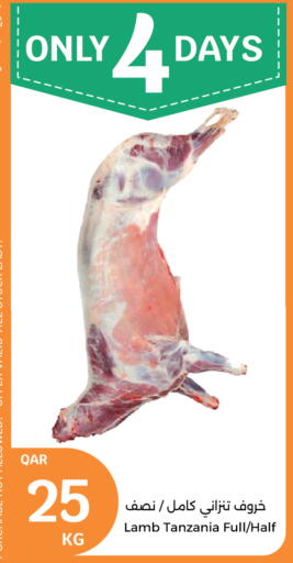 لحم الضأن / الغنم available at سيتي هايبرماركت in قطر - الضعاين