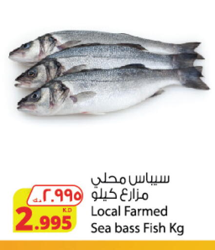 available at Agricultural Food Products Co. in Kuwait - Ahmadi Governorate