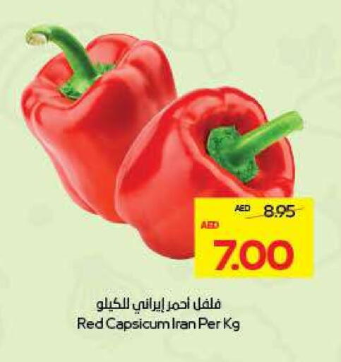 Chilli / Capsicum from Iran available at ADCOOP in UAE - Al Ain