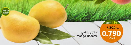 Mangoes available at Sultan Center  in Oman - Muscat