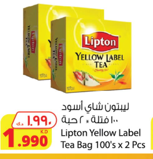 Lipton Tea Bags available at Agricultural Food Products Co. in Kuwait - Jahra Governorate