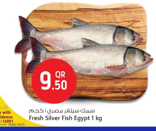 available at Safari Hypermarket in Qatar - Doha