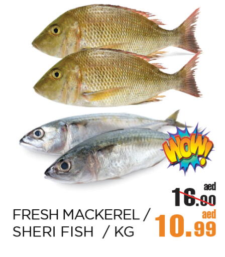 available at OK Hypermarket LLC SPC in UAE - Abu Dhabi