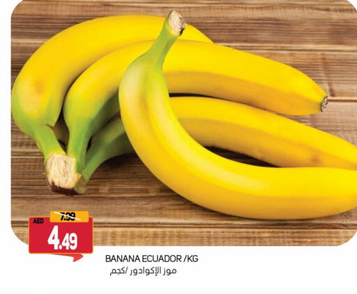 موز from Ecuador available at سوق المبارك هايبرماركت in الإمارات العربية المتحدة , الامارات - الشارقة / عجمان