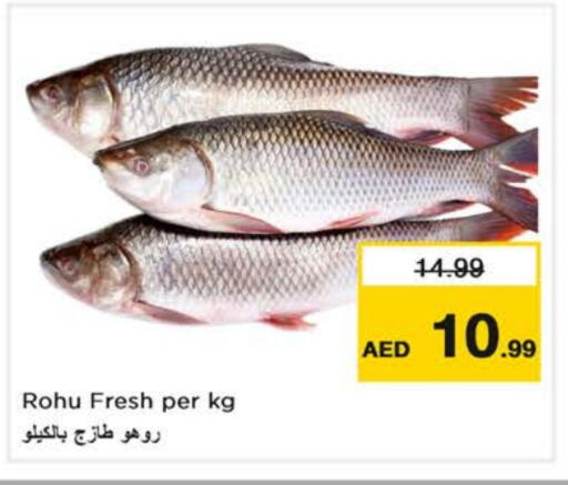 available at Nesto Hypermarket in UAE - Fujairah