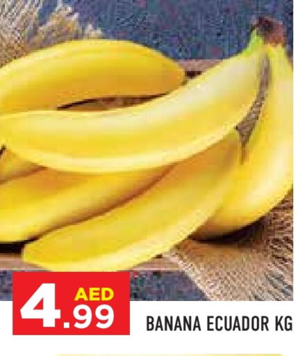 Banana from Ecuador available at Baniyas Spike  in UAE - Abu Dhabi