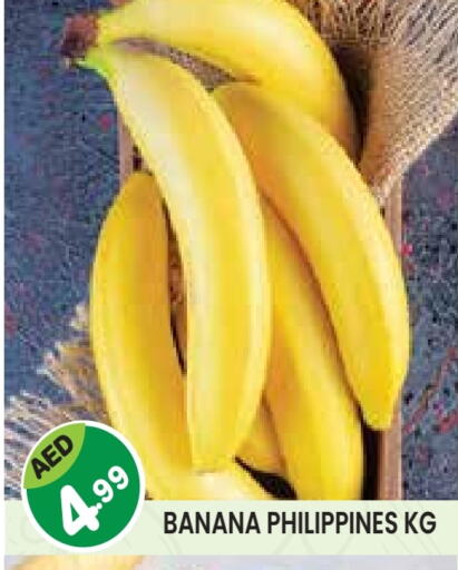 Banana from Philippines available at Baniyas Spike  in UAE - Abu Dhabi