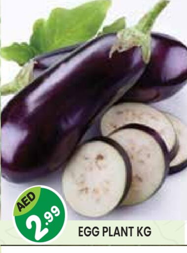 available at Baniyas Spike  in UAE - Abu Dhabi