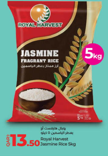 Jasmine Rice available at LuLu Hypermarket in Qatar - Doha
