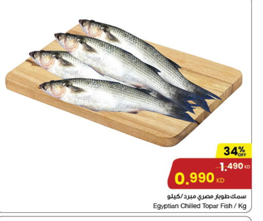 available at The Sultan Center in Kuwait - Ahmadi Governorate