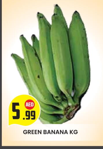 الخضروات الطازجة in سنابل بني ياس, UAE Offers - الإمارات العربية المتحدة موز available at سنابل بني ياس in الإمارات العربية المتحدة , الامارات - ٱلْعَيْن