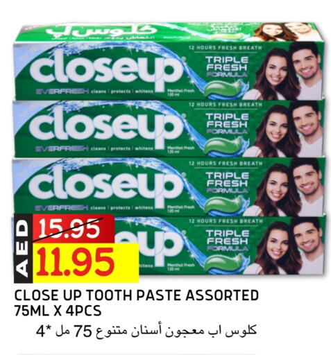 CLOSE UP Toothpaste available at Select Market in UAE - Abu Dhabi
