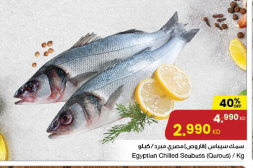 available at The Sultan Center in Kuwait - Ahmadi Governorate