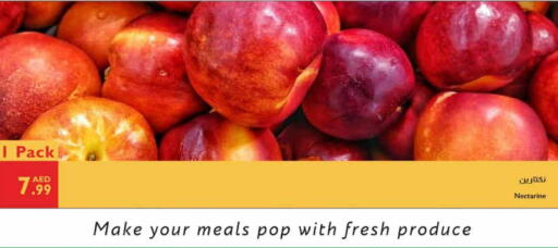 Nectarine available at Istanbul Supermarket in UAE - Al Ain