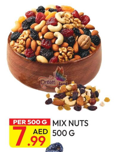 available at Dream Land in UAE - Dubai