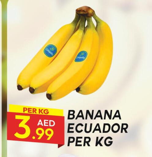 Banana from Ecuador available at Dream Land in UAE - Dubai