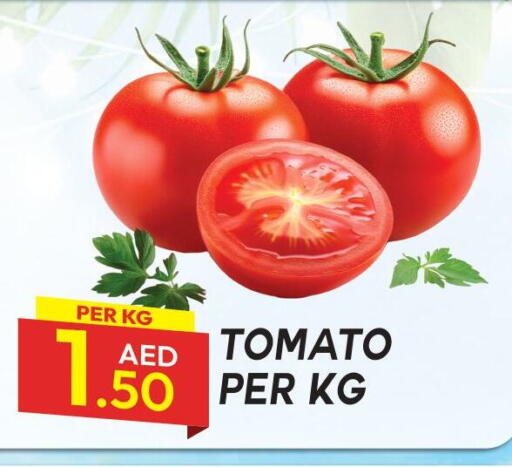 Tomato available at Dream Land in UAE - Dubai