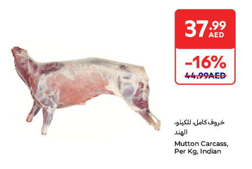 اللحوم الطازجة والمبردة in كارفور, UAE Offers - الإمارات العربية المتحدة لحم الضأن / الغنم available at كارفور in الإمارات العربية المتحدة , الامارات - ٱلْعَيْن