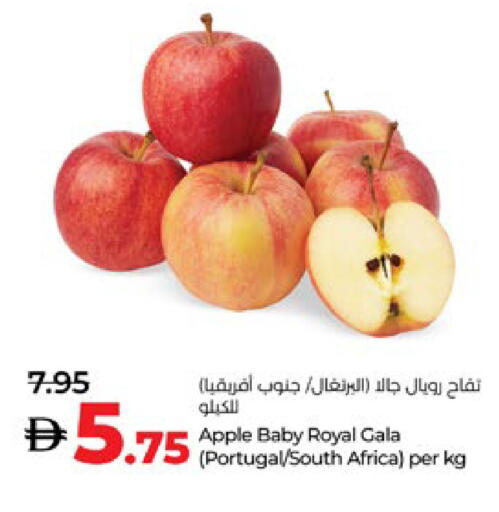 تفاح from Portugal South Africa available at لولو هايبرماركت in الإمارات العربية المتحدة , الامارات - ٱلْعَيْن‎