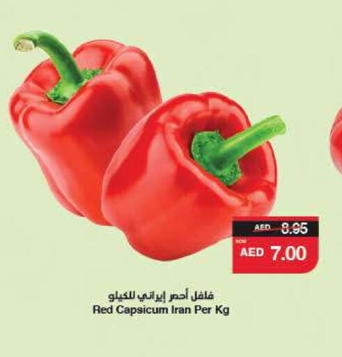 Chilli / Capsicum from Iran available at SPAR Hyper Market  in UAE - Al Ain