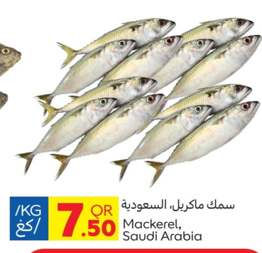 available at كارفور in قطر - الدوحة