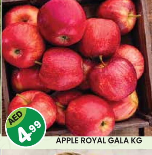 Apples available at Baniyas Spike  in UAE - Abu Dhabi