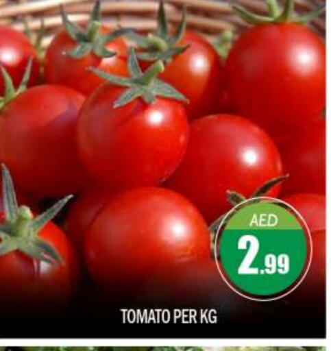 Tomato available at BIGmart in UAE - Abu Dhabi