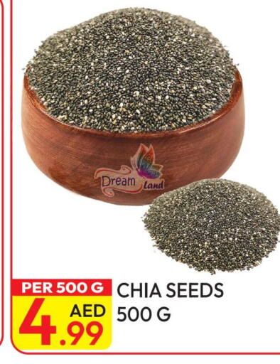 available at Dream Land in UAE - Dubai