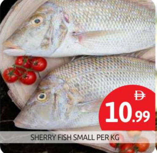 available at BIGmart in UAE - Abu Dhabi