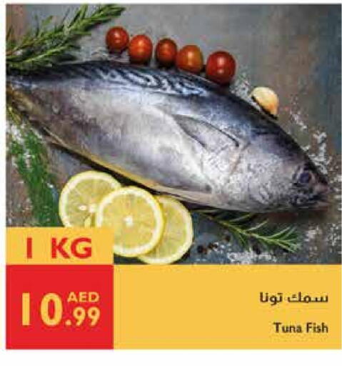 Tuna available at Istanbul Supermarket in UAE - Dubai