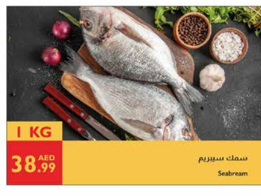 available at Istanbul Supermarket in UAE - Abu Dhabi