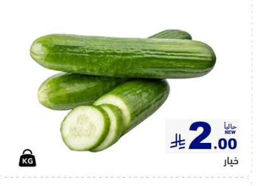 Cucumber available at Aswaq Ramez in KSA, Saudi Arabia, Saudi - Tabuk