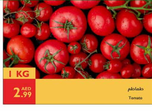 الخضروات الطازجة in إسطنبول سوبرماركت, UAE Offers - الإمارات العربية المتحدة طماطم available at إسطنبول سوبرماركت in الإمارات العربية المتحدة , الامارات - ٱلْعَيْن