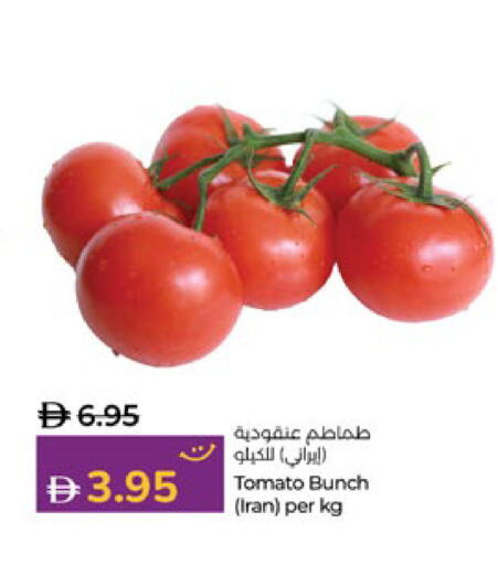 Tomato from Iran available at Lulu Hypermarket in UAE - Abu Dhabi