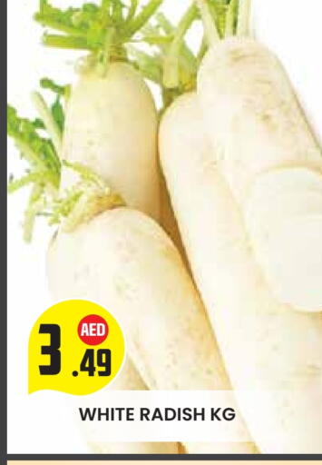 الخضروات الطازجة in سنابل بني ياس, UAE Offers - الإمارات العربية المتحدة فجل available at سنابل بني ياس in الإمارات العربية المتحدة , الامارات - ٱلْعَيْن