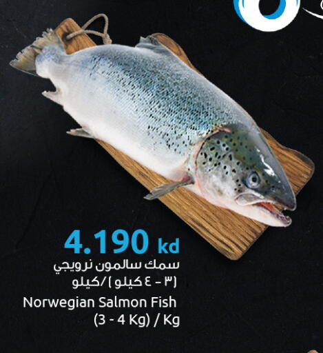 available at The Sultan Center in Kuwait - Jahra Governorate