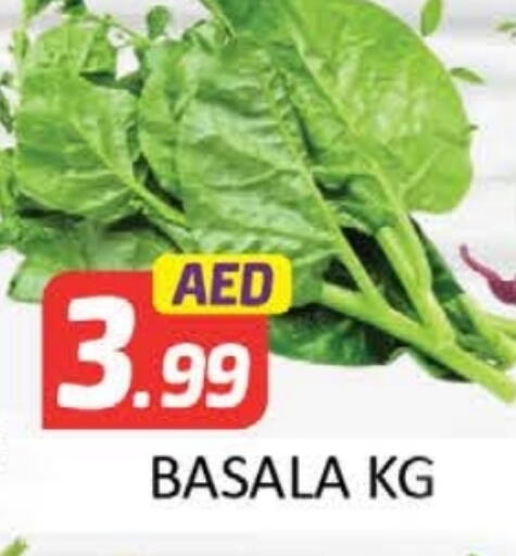 available at المدينة in الإمارات العربية المتحدة , الامارات - دبي