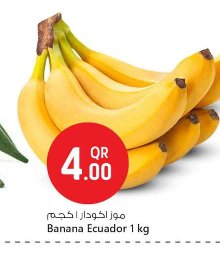 Banana from Ecuador available at Safari Hypermarket in Qatar - Al Wakra