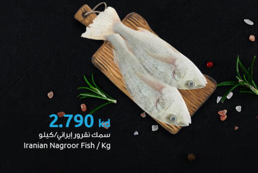 available at The Sultan Center in Kuwait - Ahmadi Governorate