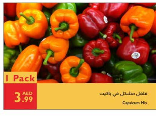 Chilli / Capsicum available at Istanbul Supermarket in UAE - Al Ain