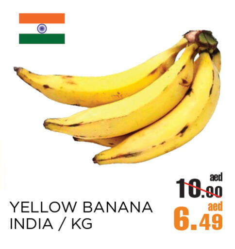 Banana from India available at OK Hypermarket LLC SPC in UAE - Abu Dhabi