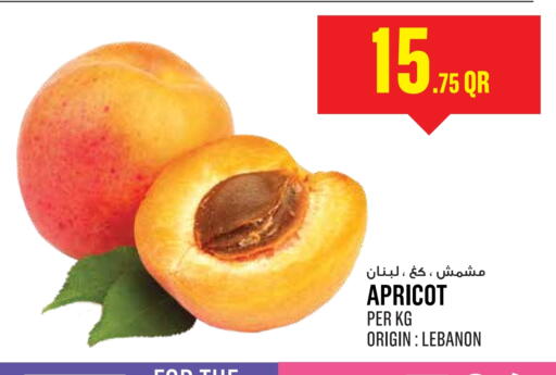 Apricot available at مونوبريكس in قطر - الخور