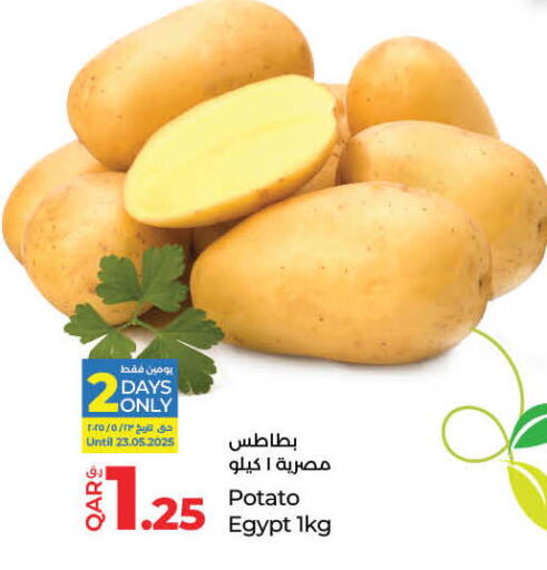 Potato from Egypt available at LuLu Hypermarket in Qatar - Doha