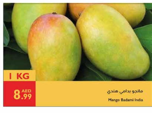 Mango Mangoes from India available at Istanbul Supermarket in UAE - Al Ain