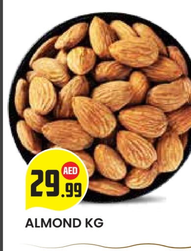 available at سنابل بني ياس in الإمارات العربية المتحدة , الامارات - أبو ظبي